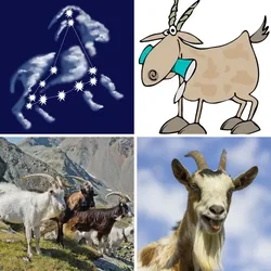 4 Bilder 1 Wort Level 2948 Bilder