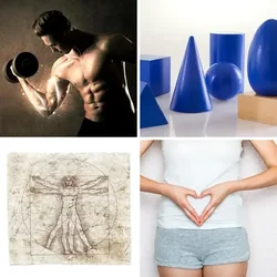 4 Bilder 1 Wort Level 2949 Bilder