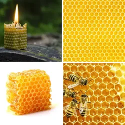 4 Bilder 1 Wort Level 2954 Bilder