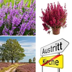 4 Bilder 1 Wort Level 2955 Bilder
