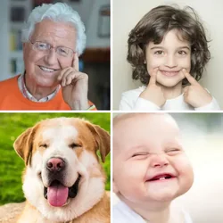4 Bilder 1 Wort Level 2981 Bilder