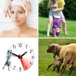4 Bilder 1 Wort Level 3026 Bilder