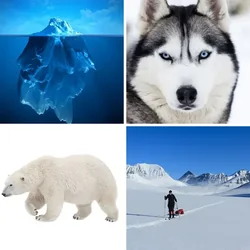 4 Bilder 1 Wort Level 3052 Bilder
