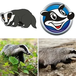 4 Bilder 1 Wort Level 3058 Bilder
