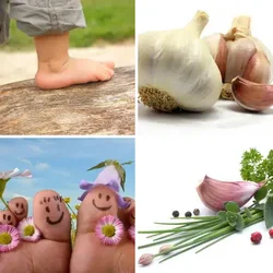 4 Bilder 1 Wort Level 307 Bilder