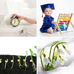 4 Bilder 1 Wort Level 3090 Bilder