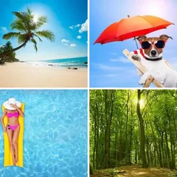 4 Bilder 1 Wort Level 310 Bilder