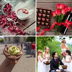 4 Bilder 1 Wort Level 3104 Bilder