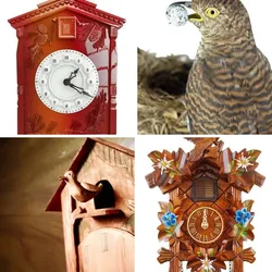 4 Bilder 1 Wort Level 3107 Bilder