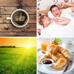 4 Bilder 1 Wort Level 315 Bilder