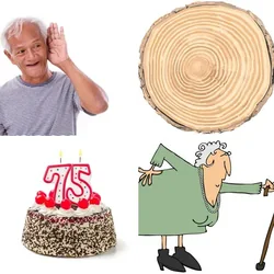 4 Bilder 1 Wort Level 3158 Bilder