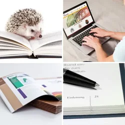 4 Bilder 1 Wort Level 3173 Bilder