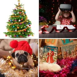 4 Bilder 1 Wort Level 3175 Bilder