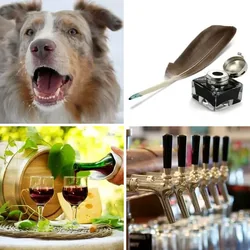 4 Bilder 1 Wort Level 319 Bilder