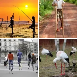 4 Bilder 1 Wort Level 3229 Bilder