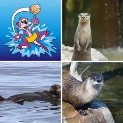4 Bilder 1 Wort Level 3230 Bilder