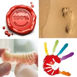 4 Bilder 1 Wort Level 342 Bilder