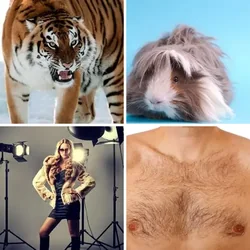 4 Bilder 1 Wort Level 353 Bilder