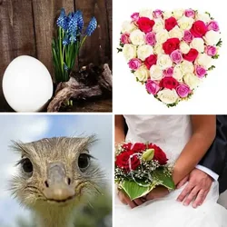4 Bilder 1 Wort Level 356 Bilder