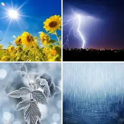 4 Bilder 1 Wort Level 360 Bilder