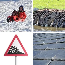 4 Bilder 1 Wort Level 365 Bilder
