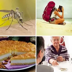 4 Bilder 1 Wort Level 370 Bilder