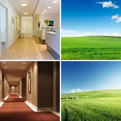 4 Bilder 1 Wort Level 380 Bilder