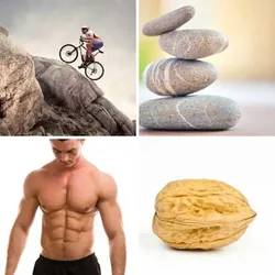 4 Bilder 1 Wort Level 382 Bilder