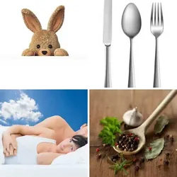 4 Bilder 1 Wort Level 394 Bilder