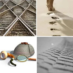 4 Bilder 1 Wort Level 396 Bilder
