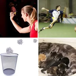 4 Bilder 1 Wort Level 402 Bilder