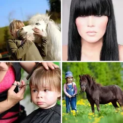 4 Bilder 1 Wort Level 41 Bilder