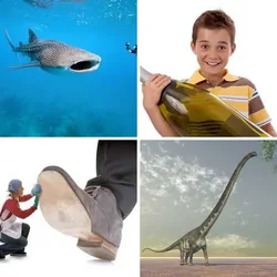 4 Bilder 1 Wort Level 422 Bilder