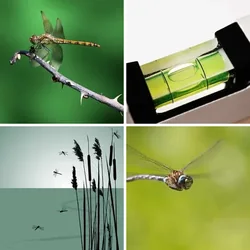 4 Bilder 1 Wort Level 424 Bilder