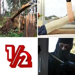 4 Bilder 1 Wort Level 458 Bilder