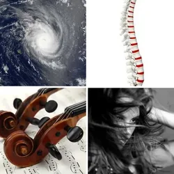 4 Bilder 1 Wort Level 461 Bilder
