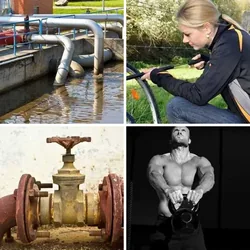 4 Bilder 1 Wort Level 465 Bilder