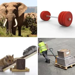 4 Bilder 1 Wort Level 469 Bilder