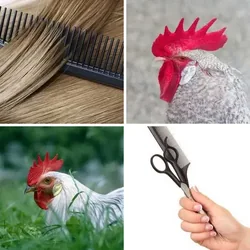 4 Bilder 1 Wort Level 47 Bilder
