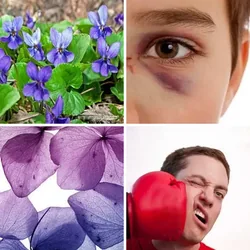4 Bilder 1 Wort Level 477 Bilder