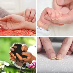 4 Bilder 1 Wort Level 481 Bilder