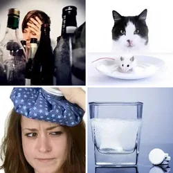 4 Bilder 1 Wort Level 490 Bilder