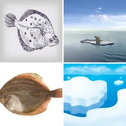 4 Bilder 1 Wort Level 492 Bilder