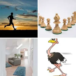 4 Bilder 1 Wort Level 528 Bilder