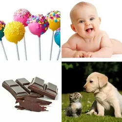 4 Bilder 1 Wort Level 53 Bilder