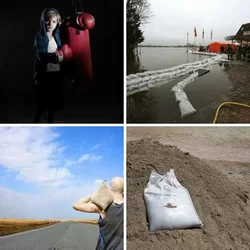4 Bilder 1 Wort Level 530 Bilder