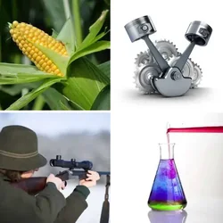 4 Bilder 1 Wort Level 536 Bilder