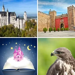 4 Bilder 1 Wort Level 544 Bilder
