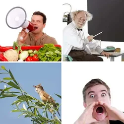 4 Bilder 1 Wort Level 549 Bilder