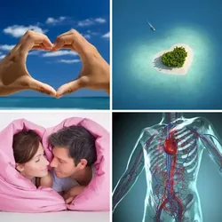 4 Bilder 1 Wort Level 55 Bilder